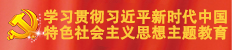 學習貫徹習近平新時代特色社會主義思想主題教育